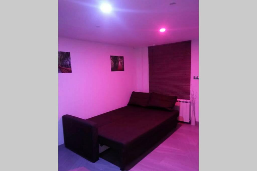 CormenzanaApartamento La Palmera II Junto A Friasアパートメント エクステリア 写真